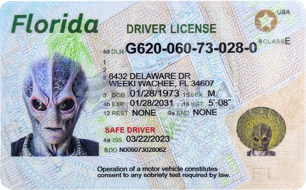 Florida Motorcycle